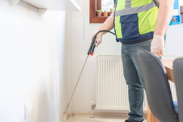Best Affordable Pest Control Services  in Boutte, LA