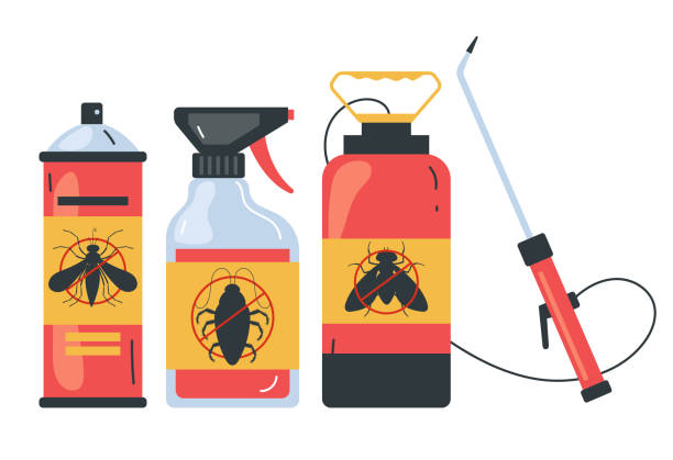 Best Local Pest Control Services  in Boutte, LA