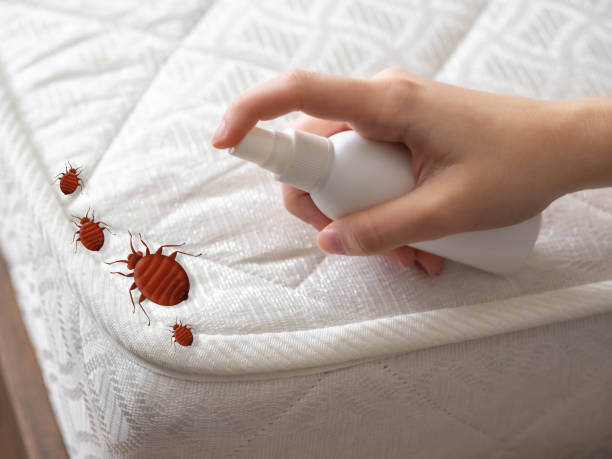 Best Exterminator Services  in Boutte, LA