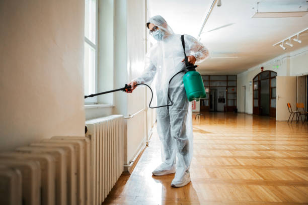 Best Pest Prevention Services  in Boutte, LA