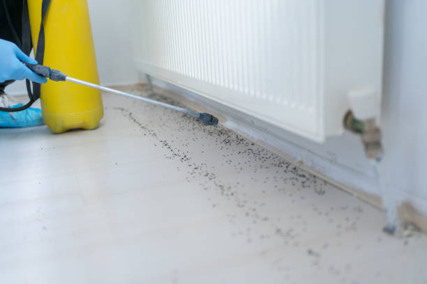 Best Residential Pest Control  in Boutte, LA